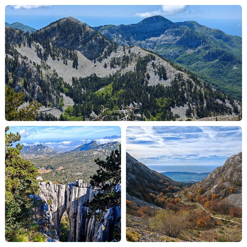 Ориен